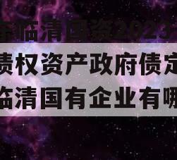 山东临清国资2023年债权资产政府债定融（临清国有企业有哪些）