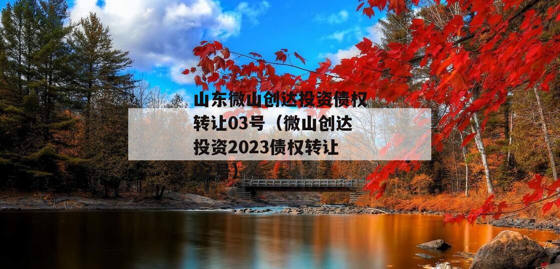 山东微山创达投资债权转让03号（微山创达投资2023债权转让02号）