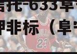 央企信托-633阜宁带抵押非标（阜宁信托政信
）