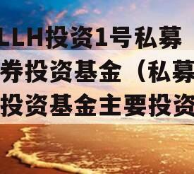 MLLH投资1号私募证券投资基金（私募证券投资基金主要投资于）