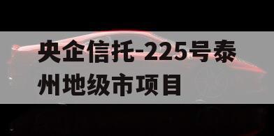 央企信托-225号泰州地级市项目