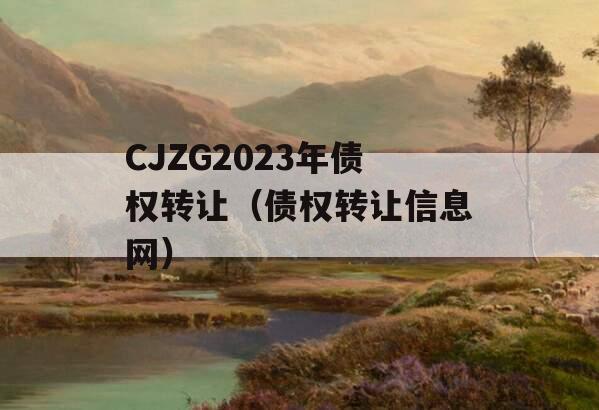 CJZG2023年债权转让（债权转让信息网）