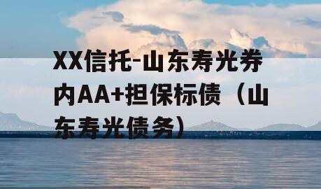 XX信托-山东寿光券内AA+担保标债（山东寿光债务）