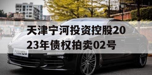 天津宁河投资控股2023年债权拍卖02号