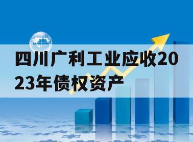 四川广利工业应收2023年债权资产