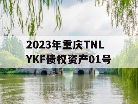 2023年重庆TNLYKF债权资产01号