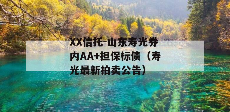 XX信托-山东寿光券内AA+担保标债（寿光最新拍卖公告）