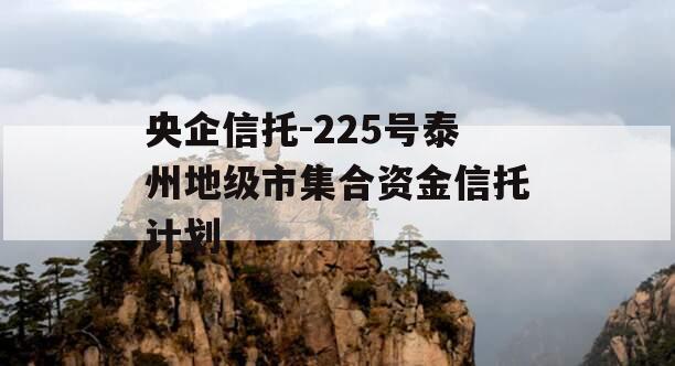 央企信托-225号泰州地级市集合资金信托计划