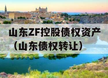 山东ZF控股债权资产（山东债权转让）