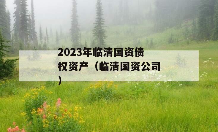 2023年临清国资债权资产（临清国资公司）