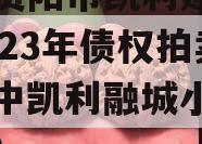 四川资阳市凯利建设投资2023年债权拍卖（资中凯利融城小区平面图）