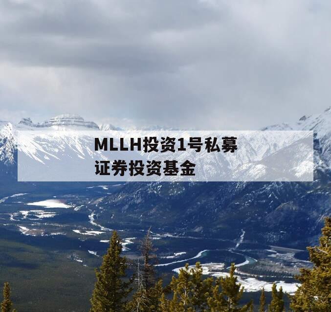 MLLH投资1号私募证券投资基金