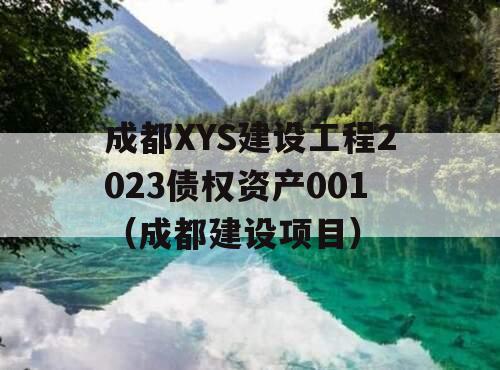 成都XYS建设工程2023债权资产001（成都建设项目）