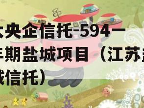 大央企信托-594一年期盐城项目（江苏盐城信托）