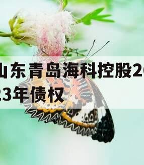 山东青岛海科控股2023年债权