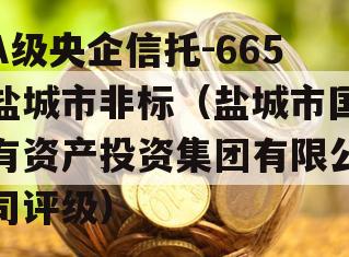 A级央企信托-665盐城市非标（盐城市国有资产投资集团有限公司评级）