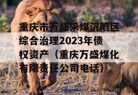 重庆市万盛采煤沉陷区综合治理2023年债权资产（重庆万盛煤化有限责任公司电话）