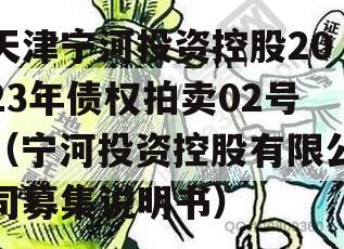 天津宁河投资控股2023年债权拍卖02号（宁河投资控股有限公司募集说明书）