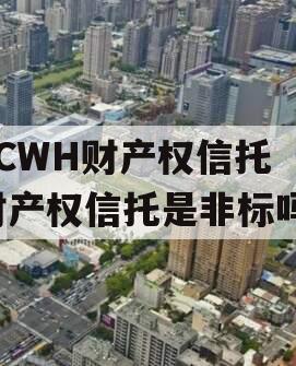 FCWH财产权信托（财产权信托是非标吗）