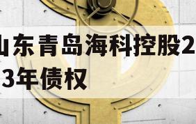 山东青岛海科控股2023年债权