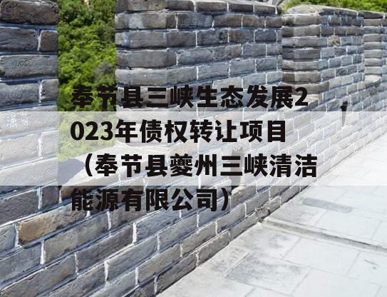 奉节县三峡生态发展2023年债权转让项目（奉节县夔州三峡清洁能源有限公司）