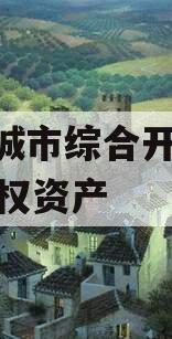 枣庄城市综合开发2023债权资产