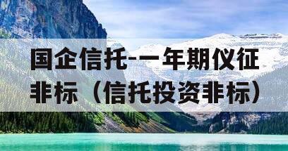 国企信托-一年期仪征非标（信托投资非标）