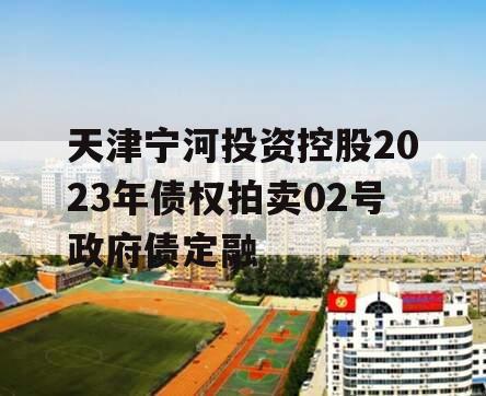 天津宁河投资控股2023年债权拍卖02号政府债定融