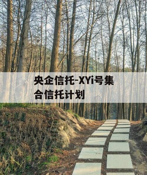 央企信托-XYi号集合信托计划