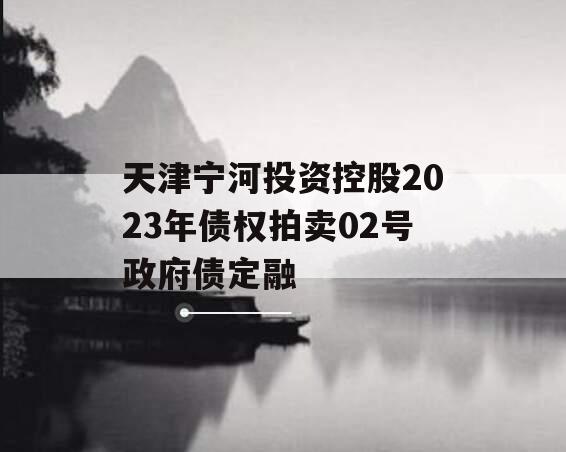 天津宁河投资控股2023年债权拍卖02号政府债定融