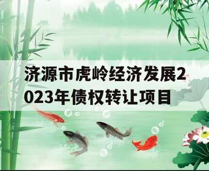 济源市虎岭经济发展2023年债权转让项目