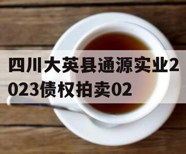 四川大英县通源实业2023债权拍卖02