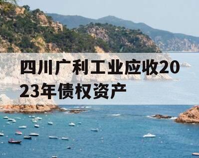 四川广利工业应收2023年债权资产