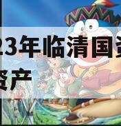 2023年临清国资债权资产