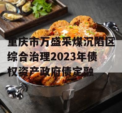 重庆市万盛采煤沉陷区综合治理2023年债权资产政府债定融