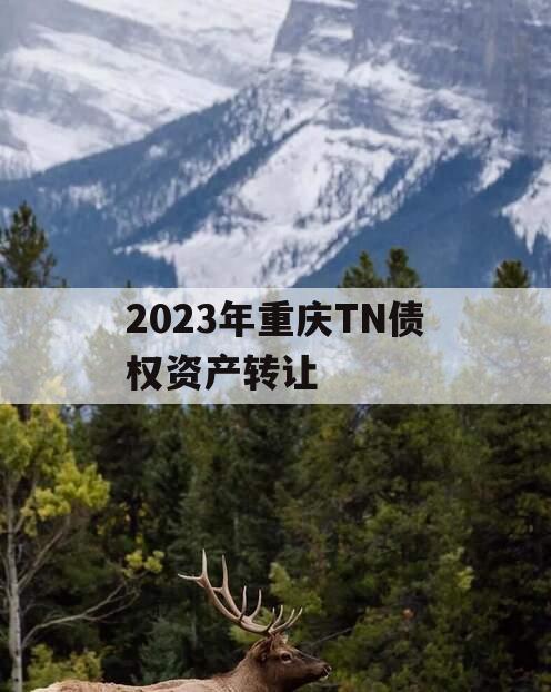 2023年重庆TN债权资产转让