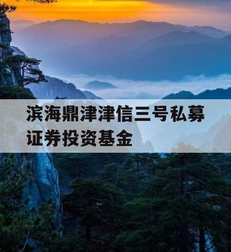 滨海鼎津津信三号私募证券投资基金