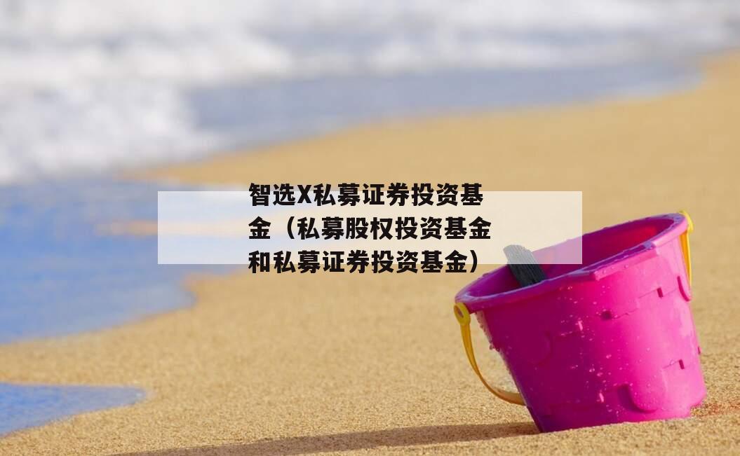 智选X私募证券投资基金（私募股权投资基金和私募证券投资基金）