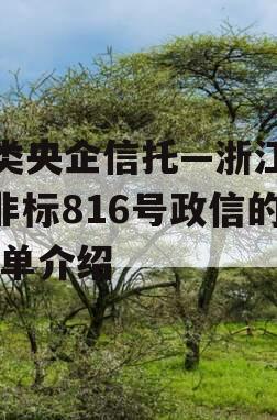 A类央企信托—浙江HZ非标816号政信的简单介绍