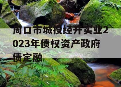 周口市城投经开实业2023年债权资产政府债定融