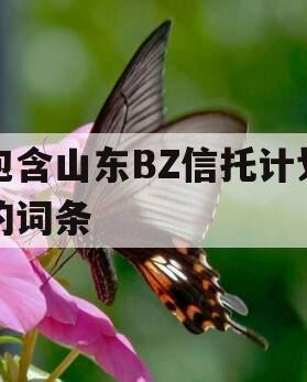 包含山东BZ信托计划的词条