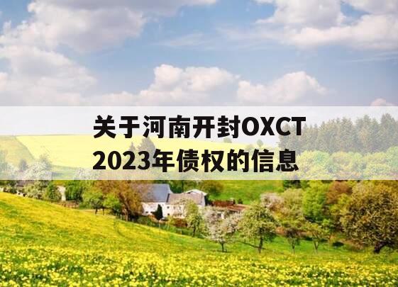 关于河南开封OXCT2023年债权的信息