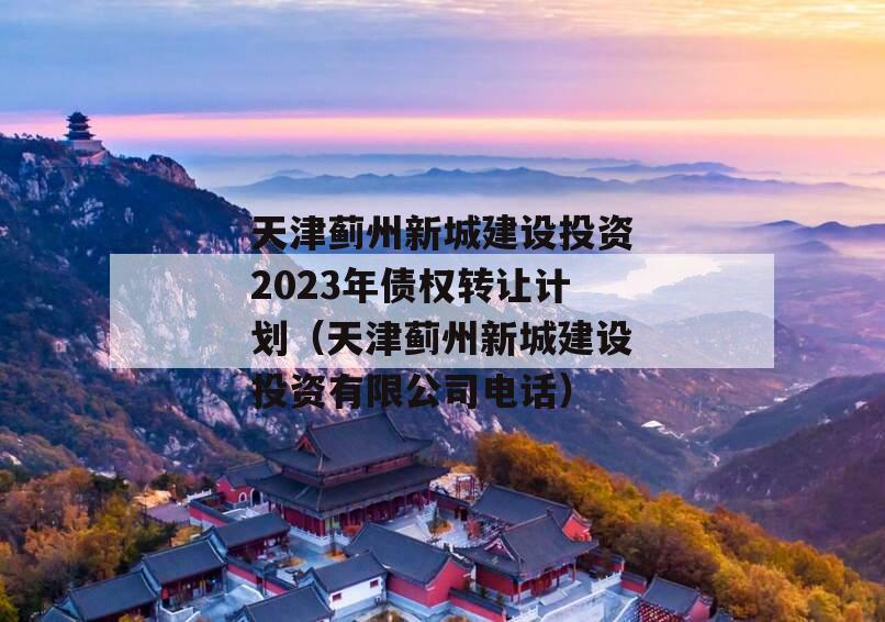 天津蓟州新城建设投资2023年债权转让计划（天津蓟州新城建设投资有限公司电话）