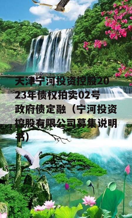 天津宁河投资控股2023年债权拍卖02号政府债定融（宁河投资控股有限公司募集说明书）