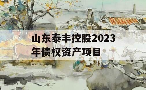 山东泰丰控股2023年债权资产项目