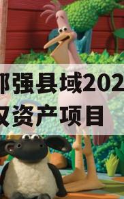 成都强县域2023年债权资产项目