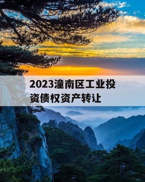 2023潼南区工业投资债权资产转让