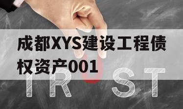 成都XYS建设工程债权资产001