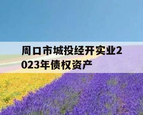 周口市城投经开实业2023年债权资产