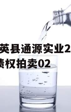 大英县通源实业2023债权拍卖02